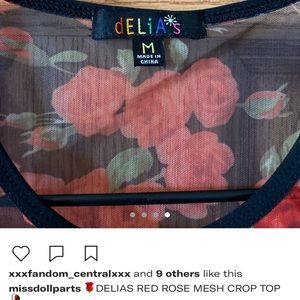 DELIAS ROSE MESH TOP